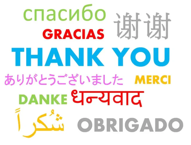 The phrase "thank you" is written in multiple languages and colors on a white background.